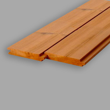 panel-system-19x117-4pd-z-kvalitniho-a-odolneho-materialu-thermowood
