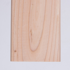 Larch Fence Rounded 18x88x800 mm